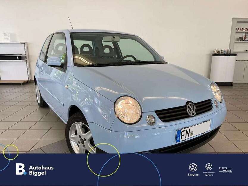 Lupo