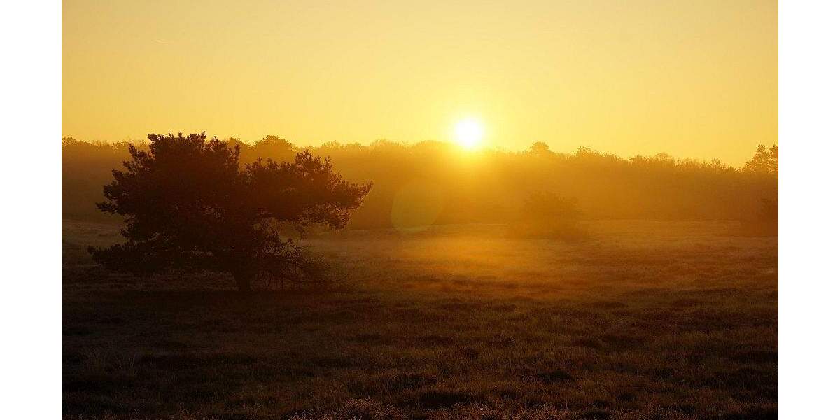 Etagenwohnung Radeberg Ullersdorf - 3 Zimmer, 91 m&sup2;, 323.050&euro; | Angebot:24972429