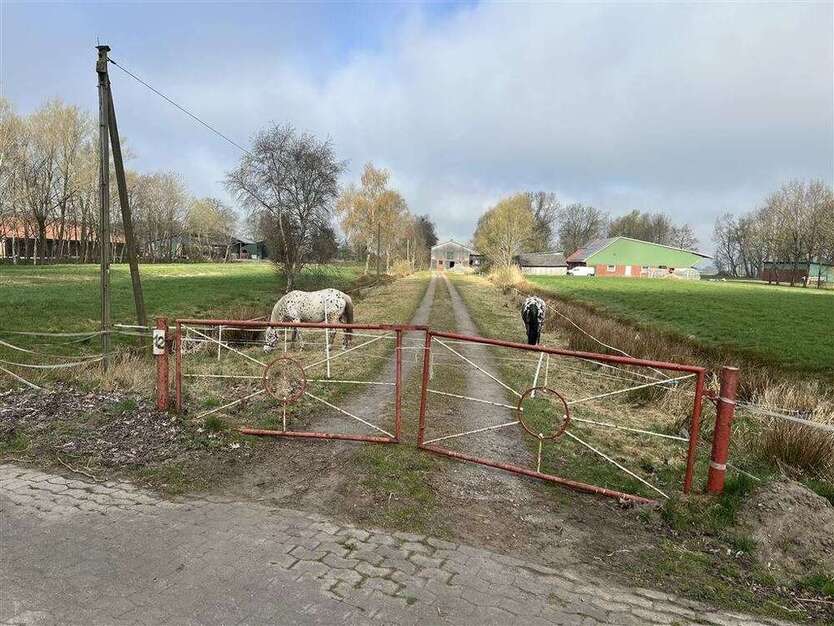 Haus zum Kaufen in Odisheim 219.000 € 100 m²