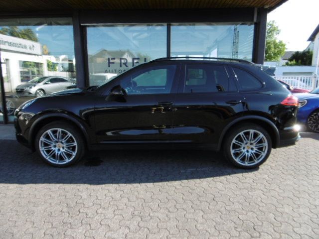 Cayenne