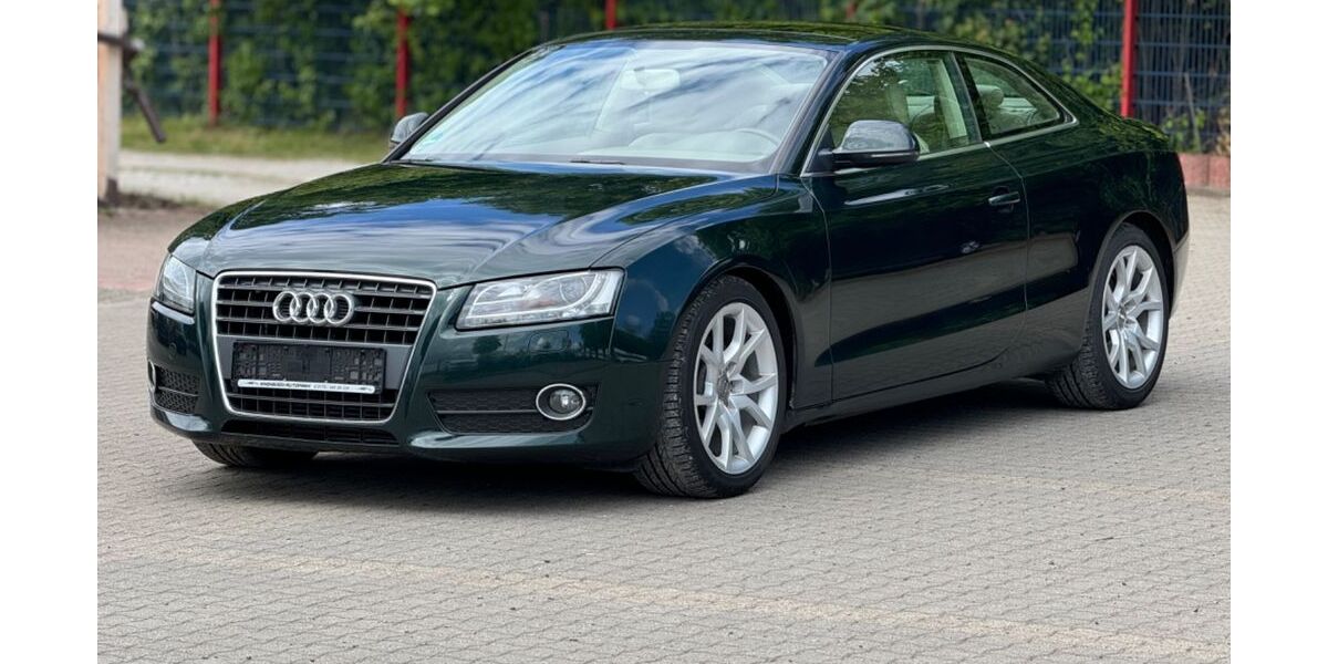 Audi A5 185.000 km 5.900 &euro; Windhausen 37539