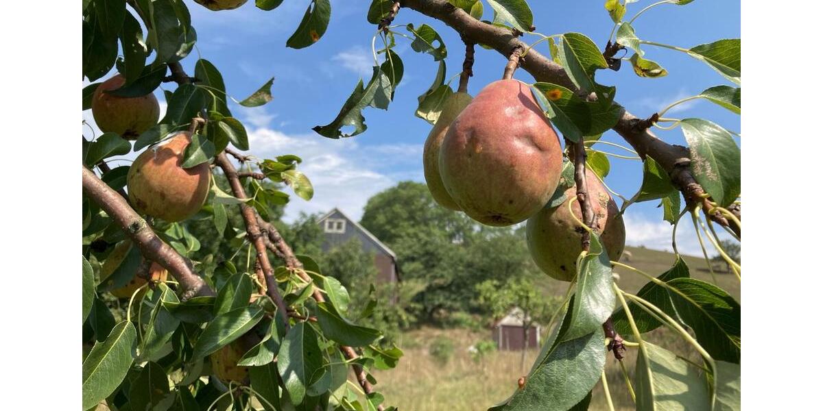 Dachgeschoßwohnung Klingenberg - 3 Zimmer, 75 m&sup2;, 375&euro; | Angebot:25309794