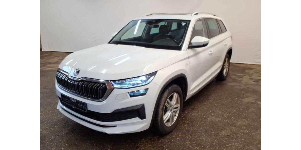 Skoda Kodiaq 173.000 km 25.250 &euro; Bebra 36179