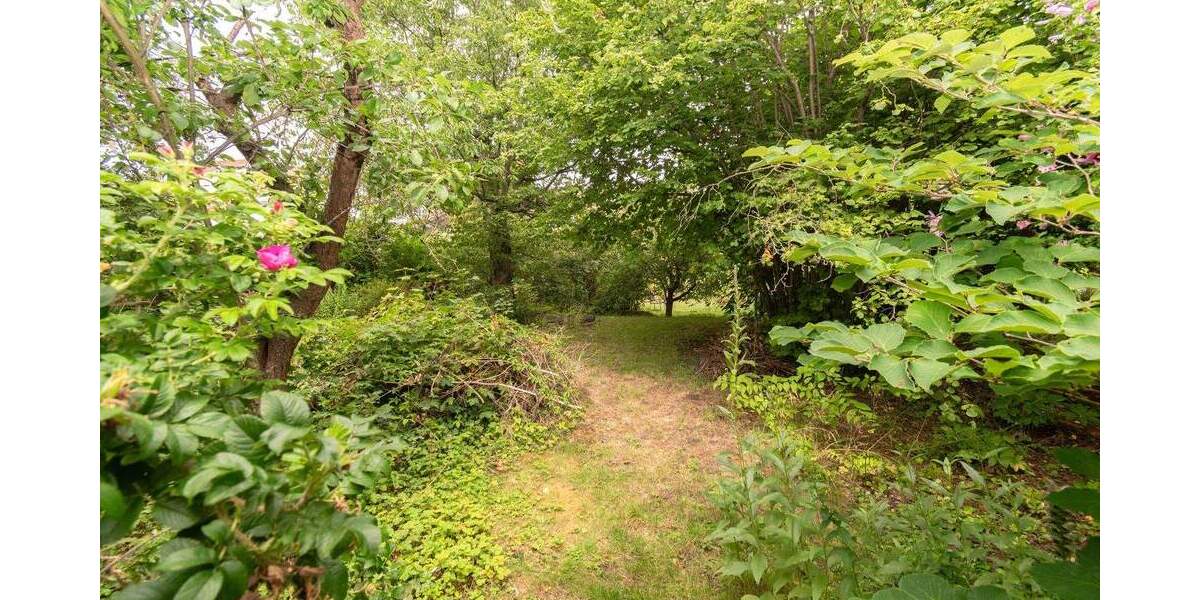 Gewerbeobjekt Borna - 1 Zimmer, 198.000&euro; | Angebot:24451672