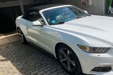 Ford Mustang 76.000 km 33.000 &euro; München 81735