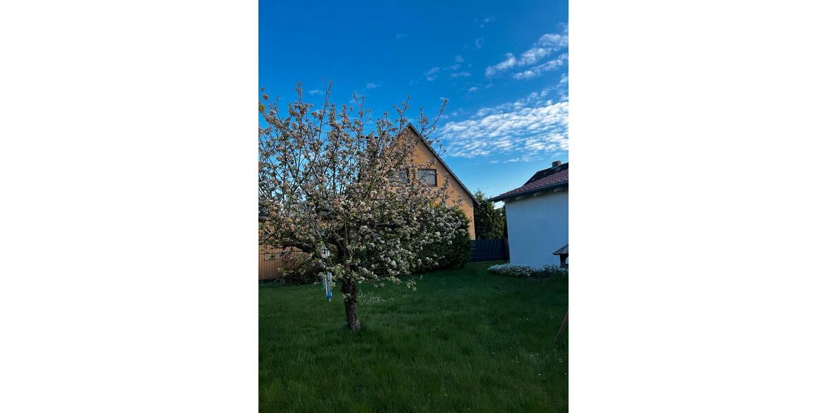 Einfamilienhaus Hannover Buchholz-Kleefeld - 3 Zimmer, 70 m&sup2;, 1.400&euro; | Angebot:26329973