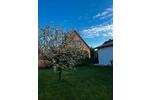 Einfamilienhaus Hannover Buchholz-Kleefeld - 3 Zimmer, 70 m&sup2;, 1.400&euro; | Angebot:26329973