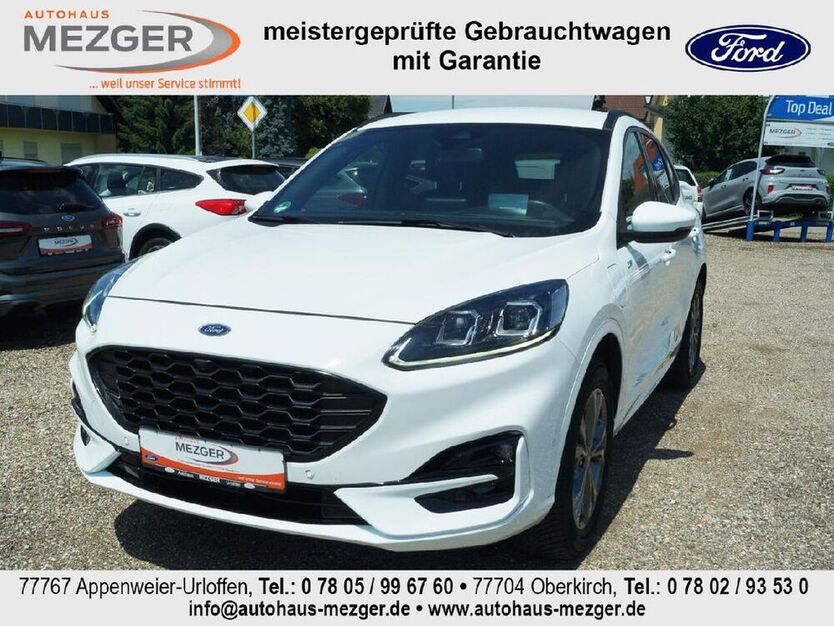 Kuga