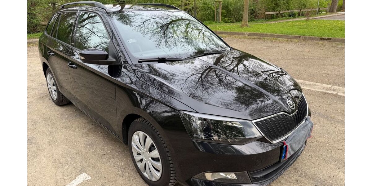 Skoda Fabia 110.780 km 10.799 &euro; Bad Oeynhausen 32549