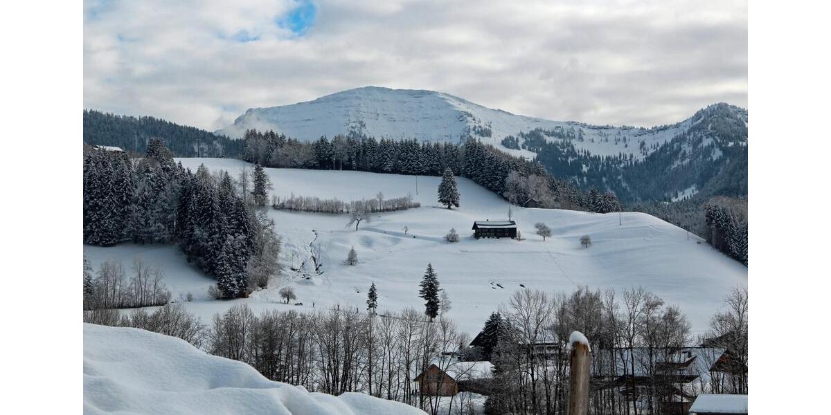 Einfamilienhaus Oberstaufen - 8 Zimmer, 230 m&sup2;, 780.000&euro; | Angebot:27004074