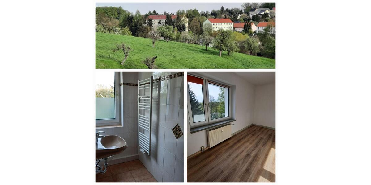 Etagenwohnung Rochlitz - 3 Zimmer, 59 m&sup2;, 28.000&euro; | Angebot:24689042