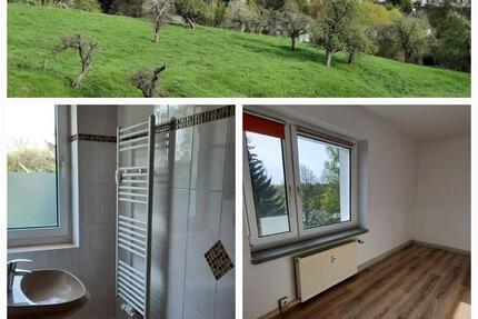 Wohnung Rochlitz - 3 Zimmer, 59 m&sup2;, 28.000&euro; | Angebot:24689042