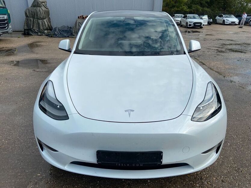 Model Y