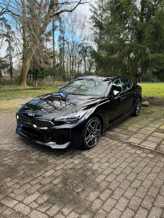 Stinger