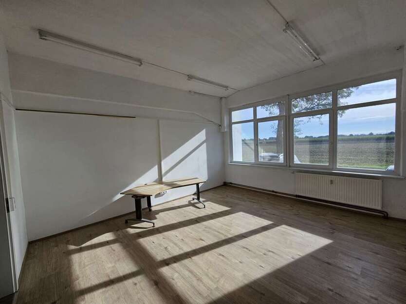 Büro in Langenau 420 € 25 m²