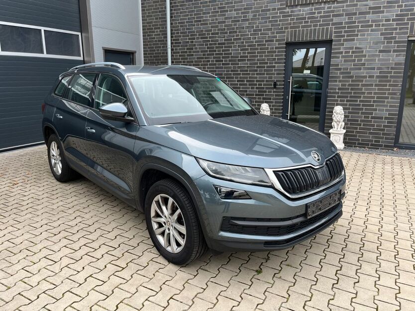 Skoda Kodiaq 194.461 km 18.600 € Neuenhaus 49828