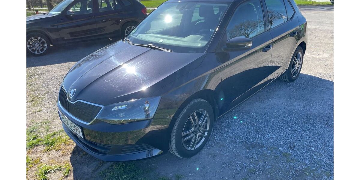 Skoda Fabia 104.000 km 9.990 &euro; Wunstorf 31515