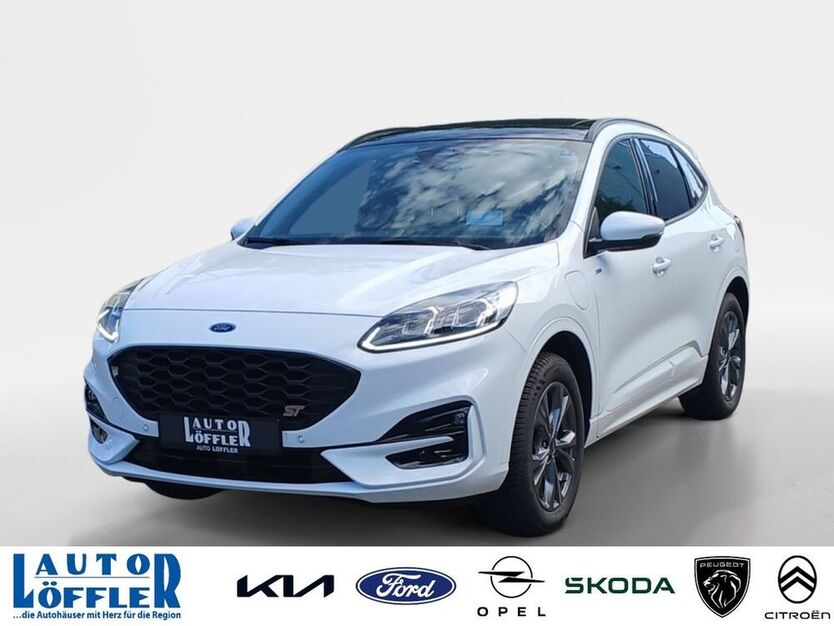 Kuga