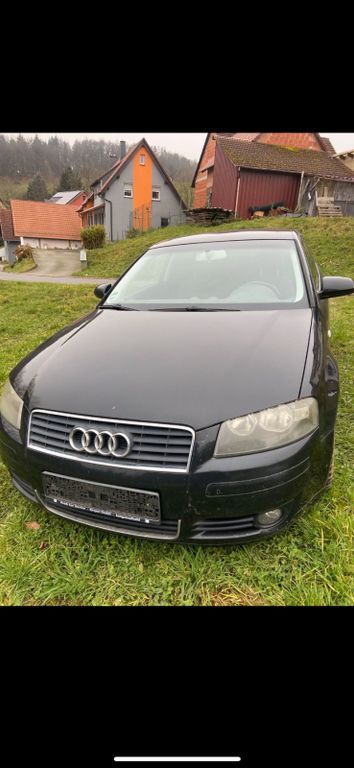 A3