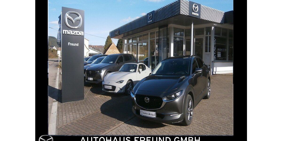 Mazda CX-30 48.200 km 23.890 &euro; Fischbach bei Dahn 66996