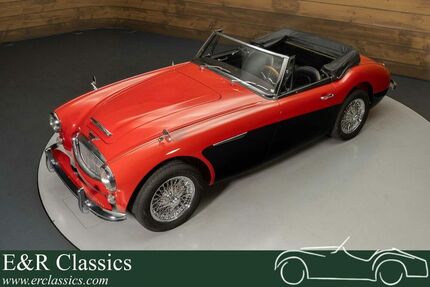 Austin Healey Andere