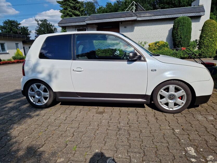 Lupo