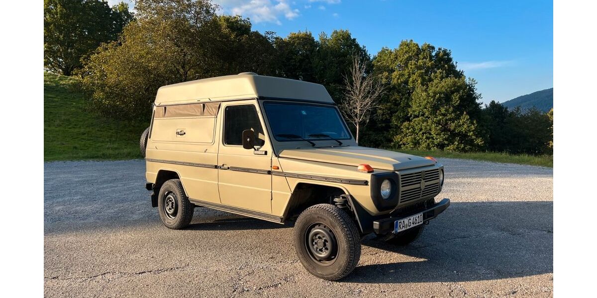 Mercedes-Benz G 230 113.033 km 34.900 &euro; Gernsbach 76593
