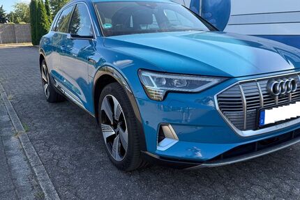 Audi e-tron 119.600 km 25.990 &euro; Hambühren 29313