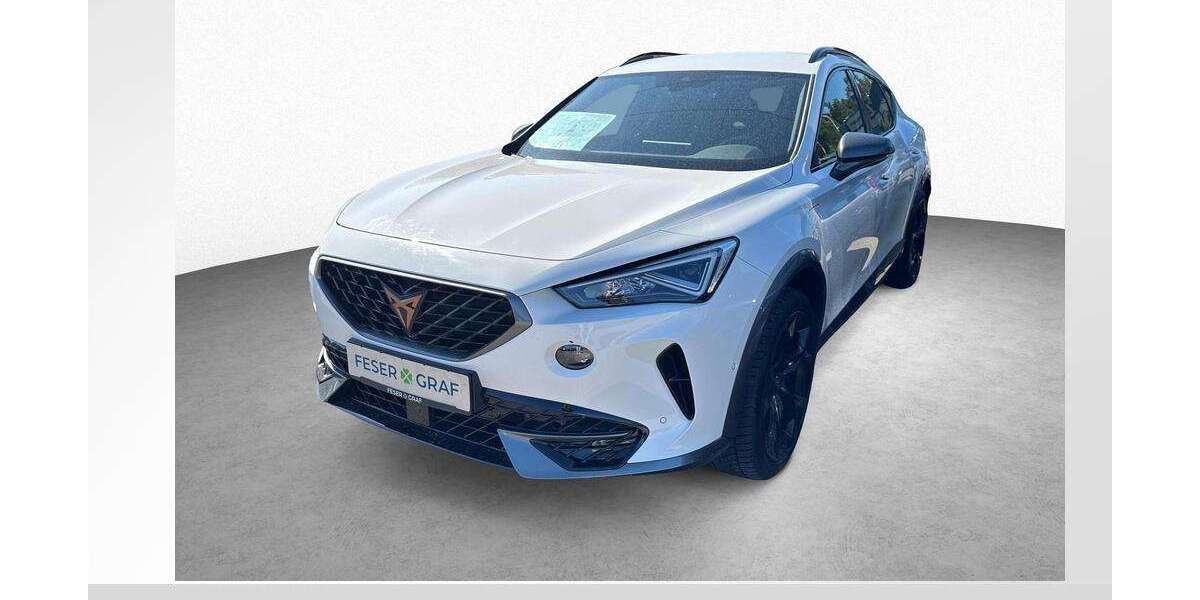 Cupra Formentor 83.890 km 24.990 &euro; Roth 91154