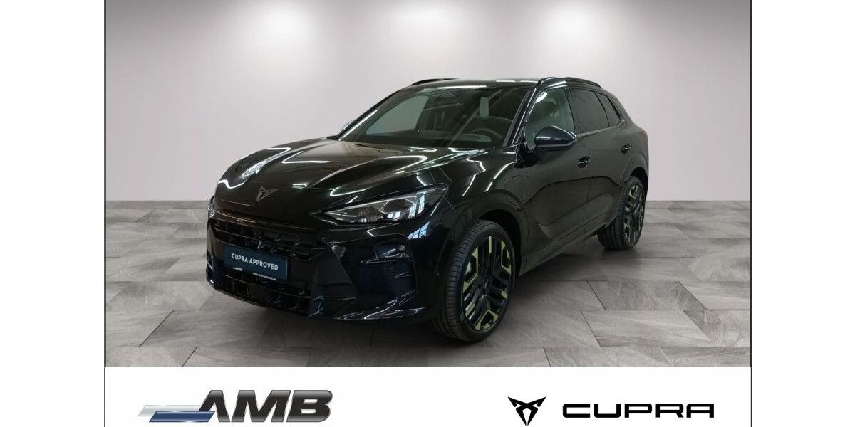 Cupra Terramar 5.000 km 54.390 &euro; Borna 04552