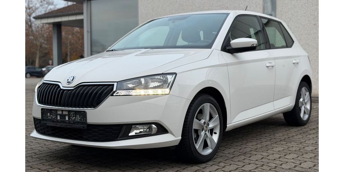 Skoda Fabia 48.000 km 9.490 &euro; Mannheim 68307