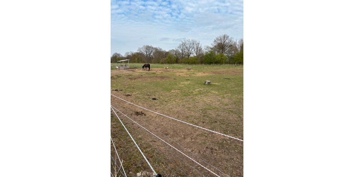 Grundstück Rosengarten - 229.000&euro; | Angebot:26163864