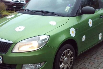 Skoda Fabia 248.108 km 3.699 € Chemnitz 09114