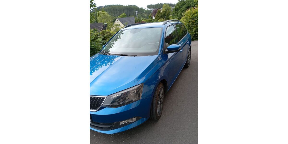 Skoda Fabia 122.600 km 8.500 &euro; Morsbach 51597