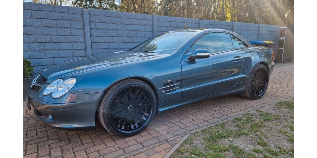 Mercedes-Benz SL 500 193.100 km 13.500 &euro; Theeßen 39291