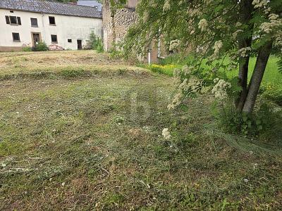 RUHIGE WOHNLAGE IM BEGEHRTEN DREILÄNDERECK - Grundstück Perl | Angebot:27119550