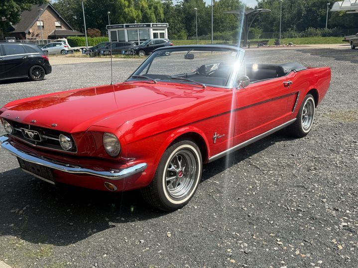 Mustang
