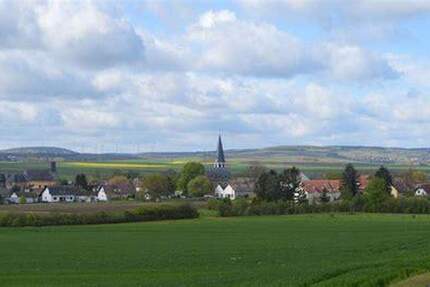 Zum Verkauf: 2607 qm Grundstück im Gewerbemischgebiet in Rheinhessen zimmer