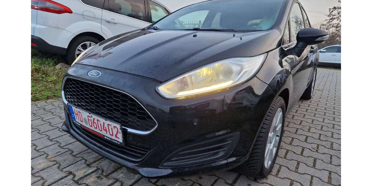Ford Fiesta 124.500 km 5.500 &euro; Schwetzingen 68723
