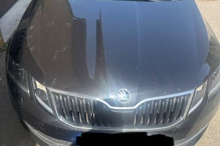 Skoda Octavia 110.550 km 16.000 &euro; Neustrelitz 17235