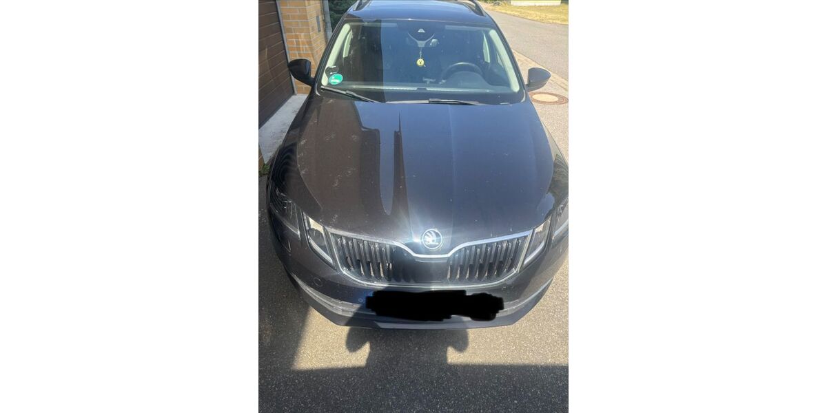 Skoda Octavia 110.550 km 17.000 &euro; Neustrelitz 17235