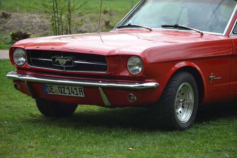 Mustang