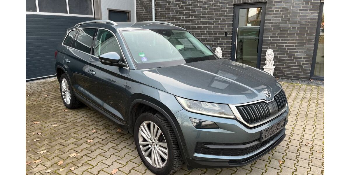 Skoda Kodiaq 232.000 km 16.006 &euro; Neuenhaus 49828