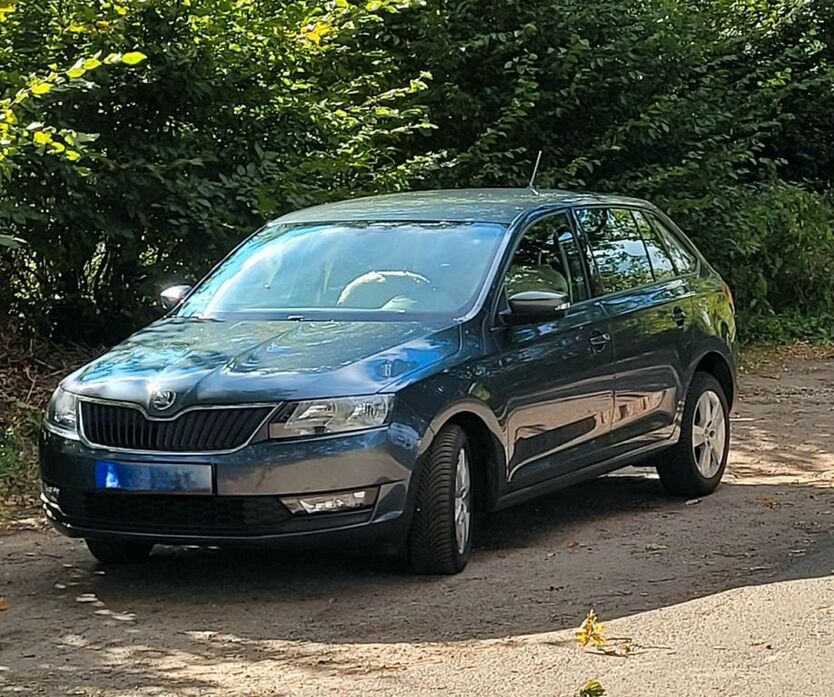 Skoda Rapid 115.000 km 8.800 € Ammersbek 22949