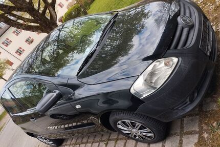 VW Fox