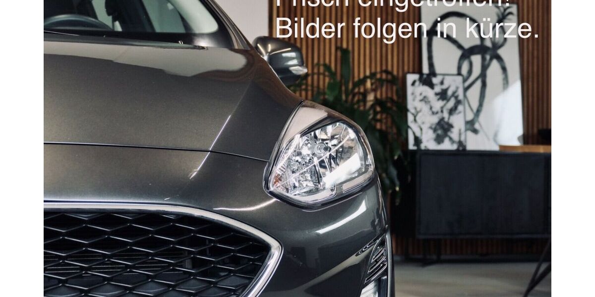 Ford Fiesta 46.244 km 13.570 € Großfahner 99100