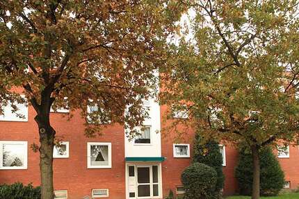 Wohnung zum Mieten in Nienburg 502 € 71.76 m² 3 zimmer