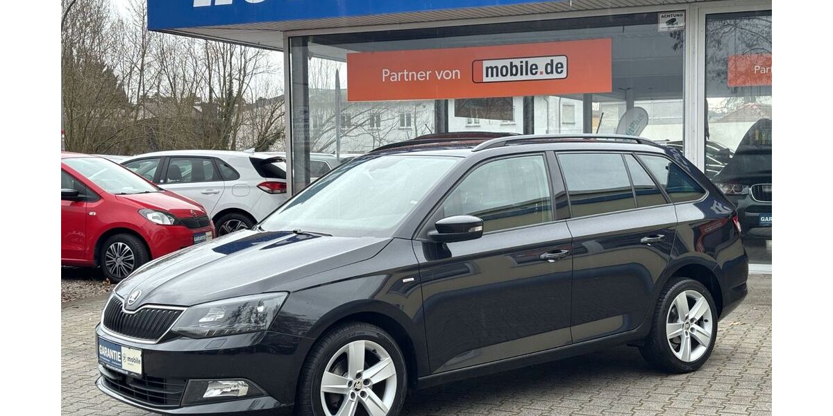 Skoda Fabia 149.961 km 9.200 &euro; Haßloch 67454