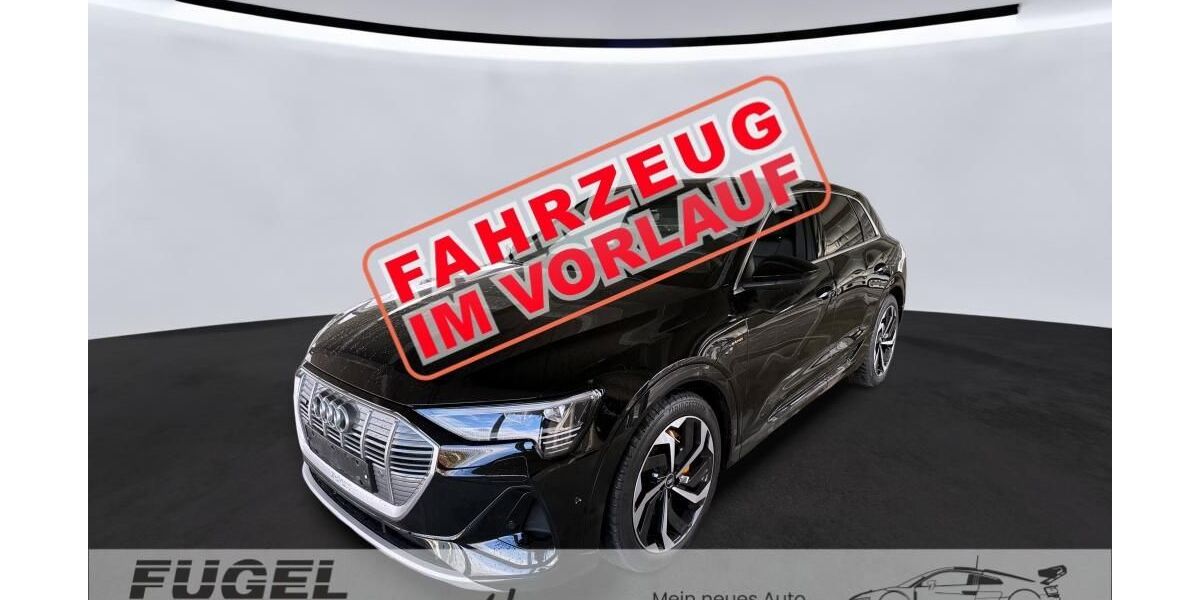 Audi e-tron 39.625 km 35.899 &euro; Chemnitz - Mittelbach 09224