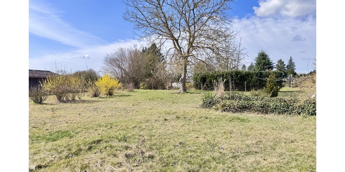 HORN IMMOBILIEN ++ Einfamilienhaus in Tantow mit Einbauküche, Garage und großem Grundstück - Einfamilienhaus Tantow | Angebot:24299209